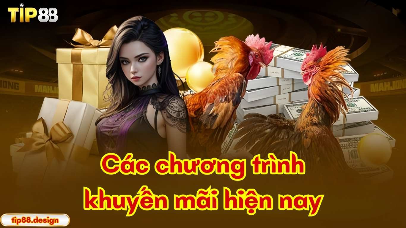 Tổng hợp các khuyến mãi tip88 hiện nay. Tổng hợp các khuyến mãi tip88 hiện nay.